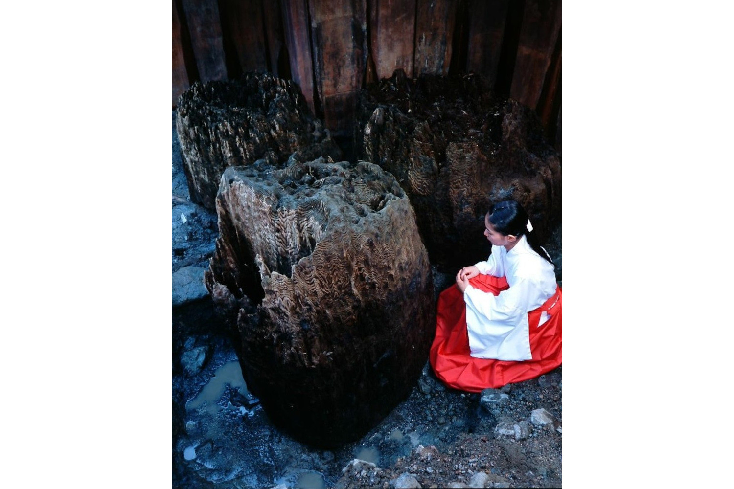 Izumo Ōyashiro Shrine-The Land of Myths